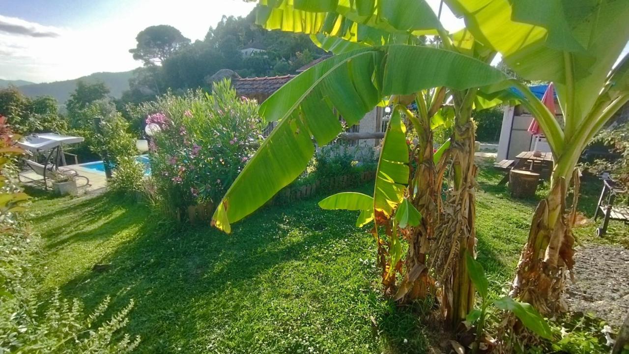 Alojamento De Crasto - جيريز المظهر الخارجي الصورة